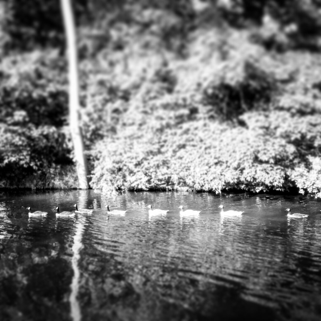 IMG-20170614-205102-341.jpg