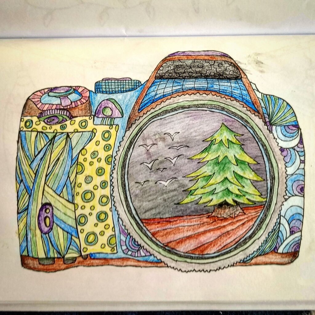 The world in your camera