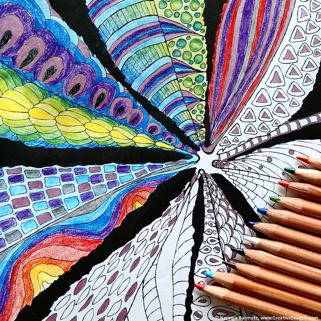 Chestnut leaf from The Amazing World of Leaves