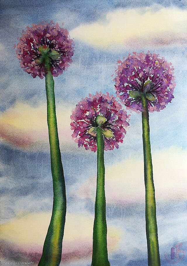Flowers