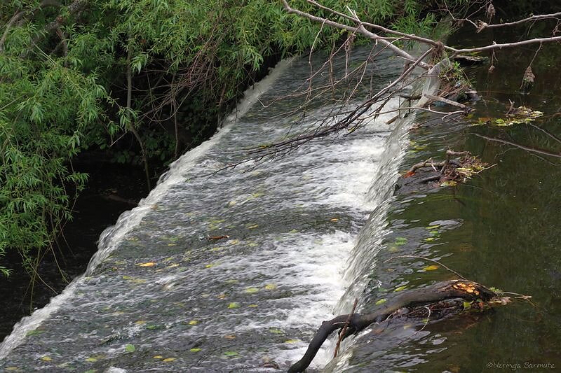 Water of Leith